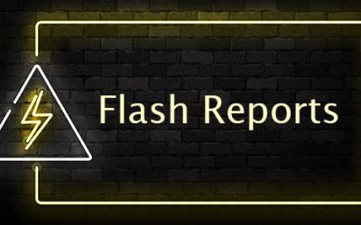 Flash reports: Real-time financial reporting